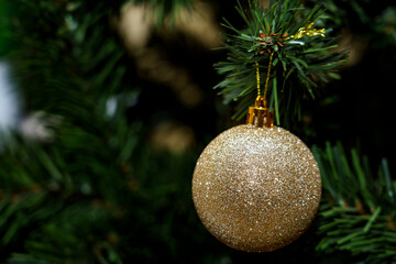 Hanging golden ornament on pine tree branches during holiday season