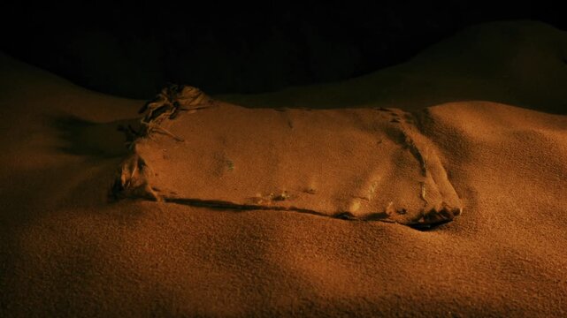 Ancient Book Picked Up From The Sand