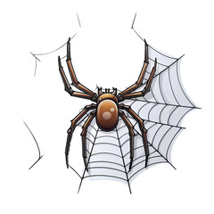 Intricate Spider Web Sticker Illustration