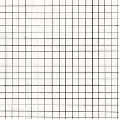 Graph ink doodle check paper. Printable squared grid paper with color lines. Geometric background for school, wrapping, invitations, card, scrapbooking, notebook, diary. Realistic lined paper blank.
