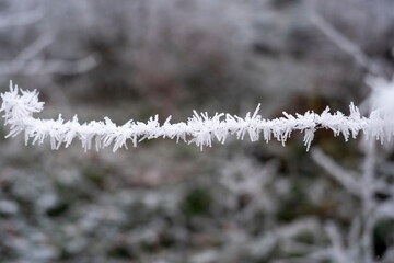 cloesup of ice and snow crystals on a branch with blurred background of an icy  winter landscape