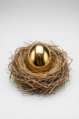 Single golden nest egg sitting safely inside natural bird nest