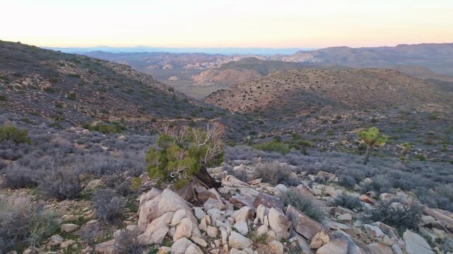 Aerial view of desert valley and rock formations seen from Ryan Mountain Trail in Joshua Tree National Park California
