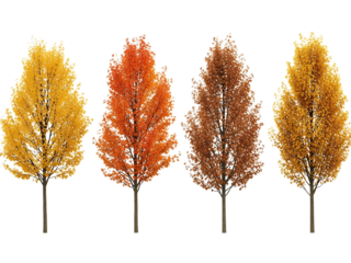Four autumn trees isolated on transparent background