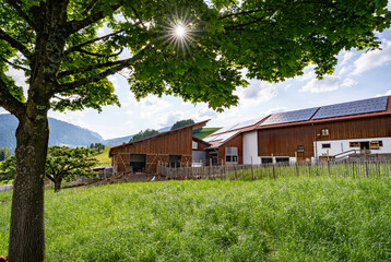 Eine gro&szlig;e Ansammlung freilaufender H&uuml;hner und H&auml;hne auf einer H&uuml;hnerweide vor einem H&uuml;hnerstall .