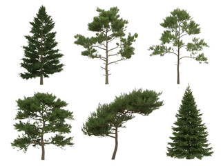 Fototapeta premium Collection of pine trees isolated on transparent background