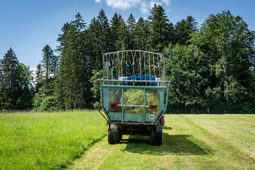 Gr&uuml;nfutterernte im Allg&auml;u, M&auml;hren und ernten von frischem Gras mit Vorbaum&auml;hwerk und Ladewagen.