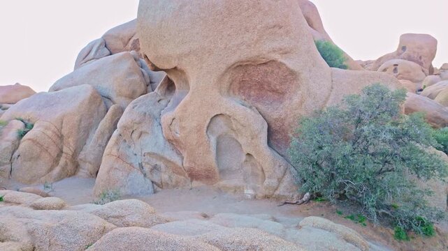 Iconic Skull Rock granite formation shaped by erosion within the desert landscape of Joshua Tree National Park California