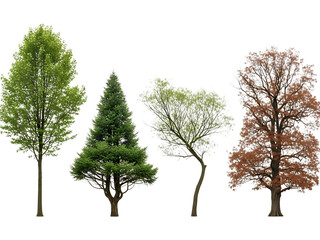 Four trees, isolated on transparent background