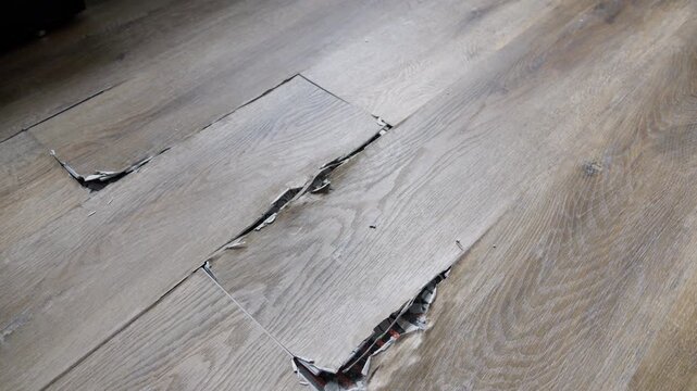 buckled laminate floor with torn planks and visible crack caused by heated floor expansion. closeup of damaged floor covering with lifted edges