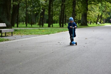 Fototapeta premium Happy toddler riding a scooter on a forest park path. Child enjoying active outdoor play, balance training and healthy lifestyle surrounded by trees and peaceful natural environment.