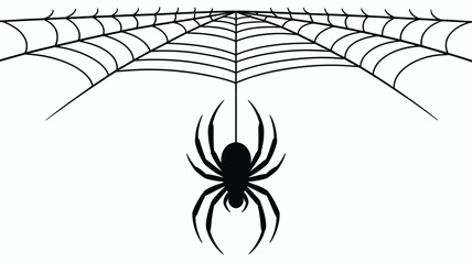 Black spider hanging from intricate web on white background