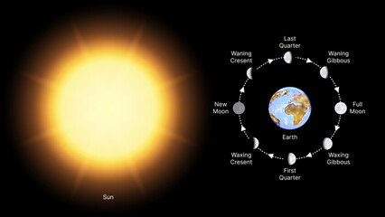 Phases of the Moon. Lunar Cycle Diagram Showing Sun, Earth and Moon Positions. New Moon, Waxing Crescent, First Quarter, Waxing Gibbous, Full Moon, Waning Gibbous, Last Quarter and Waning Crescent.