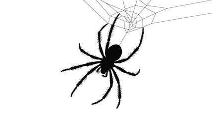 Black spider hanging from intricate web on white background