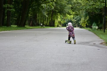 Toddler riding a three-wheel scooter along a park path, back view. Child enjoying freedom, movement and outdoor activity surrounded by green trees and peaceful nature.