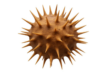 Spikiness virus cell particle creating infection and disease