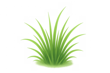 Fresh green grass tuft vector on transparent background