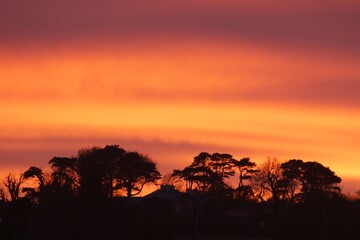 A treelined horizon in silhouette against a bright orange sunset sky