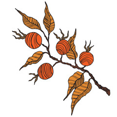 Rose hip, cranberry, blueberries silhouette vector illustration. Natural delicious fresh ripe tasty fruit. Food concept.