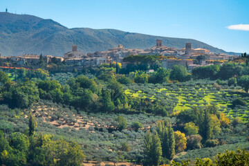 Fototapeta premium Montefalco Hill Town and Olive Groves, Umbria, Italy