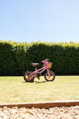 A hot pink child's bike with tassels and a basket parked on the grass with a blue sky background on a sunny day