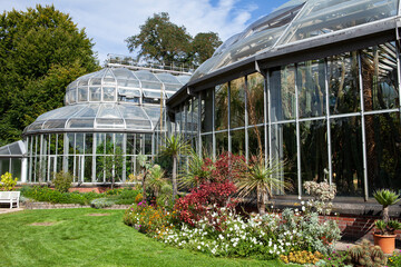 Berlin Botanical Garden: Stunning greenhouses with rich collections of cacti, succulents, and lush...