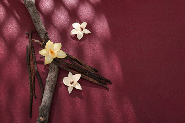 Composition with vanilla sticks, flowers and tree branch on color background