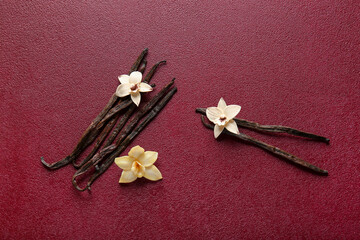 Composition with vanilla sticks and flowers on color background