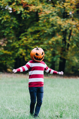 Person Wearing a Pumpkin Head Standing Outdoors in Autumn