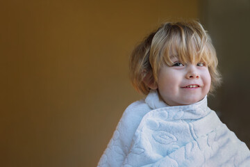 Preschool aged boy getting a first haircut