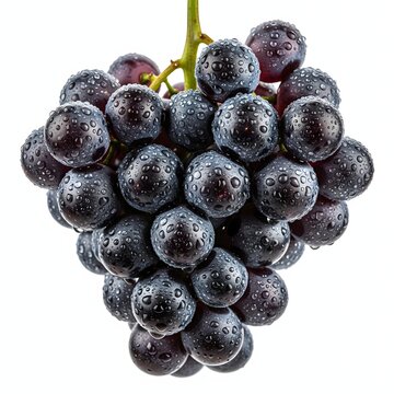 Uvas moradas frescas con gotas de agua sobre fondo blanco
