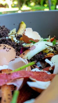 Close-up of Kitchen Compost Bin with Vegetable Scraps