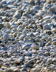Obraz premium A high-angle vertical view of a dense concentration of small to medium light gray pebbles and stones creating a textural background on the beach