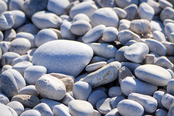 Bright macro shot of various rounded gray and white beach pebbles with one large dominant stone creating a textural pattern on the sun-drenched coastal ground