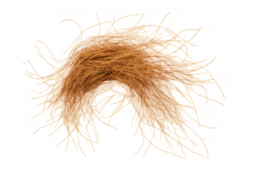 Iconic blonde toupee wig texture, transparent background