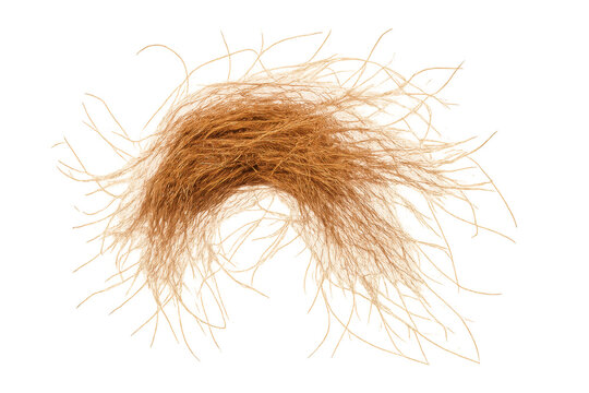 Iconic blonde toupee wig texture, transparent background