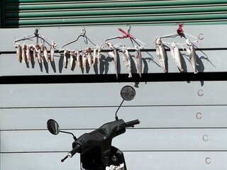 Dried fish hanging in rows on metal clothes hangers outside a building