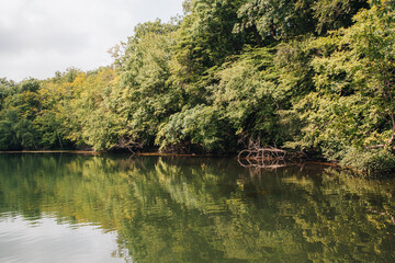Obraz premium Mont Saint Bruno National Park Quebec forest lakes and wildlife