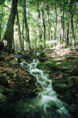 Obraz premium Mont Saint Bruno National Park Quebec forest lakes and wildlife