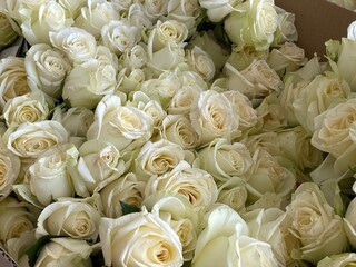 Outdoor party tables on green grass, weddings, events, companies