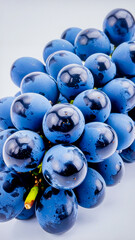 Dark Black Grapes Bunch with Natural Gloss Isolated on White Background for Vineyard Fruit Object and Organic Nutrition Concept