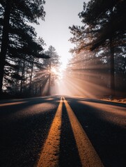 Fototapeta premium Majestic Morning Sunlight Breaks Through Trees Along a Quiet Road in the Forest During Sunrise