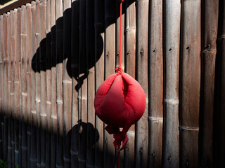 鮮烈な赤と影・京都八坂のくくり猿