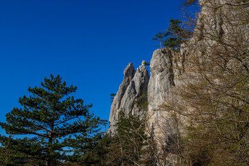 Fototapeta premium Peilstein mountains with rocky cliffs, forested slopes, and limestone formations in Lower Austria. Natural mountain landscape showing climbing area, geology, rugged terrain, outdoor recreation, Europe
