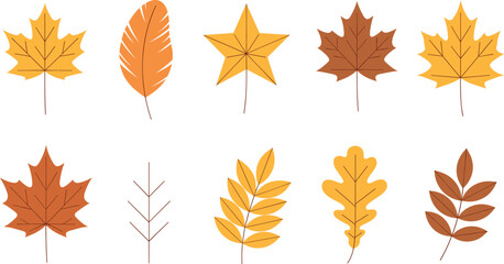 Set of creative stylized autumn leaves with star and feather shapes vector illustration for seasonal fall graphic design. © REYAD