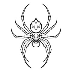 Obraz premium detailed spider with spotted pattern outline vector