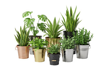 Fototapeta premium Collection of potted plants isolated on transparent background