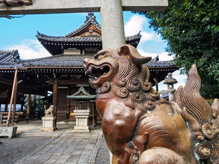 京都鳥辺山、本堂を見守るの狛犬