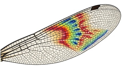 Intricate scientific visualization of an insect wing with a colorful heatmap overlay, revealing complex biological data and structural patterns in a detailed illustrative style