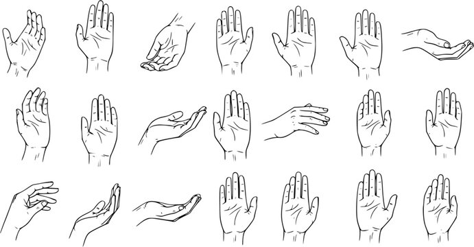 Black and White Line Art Vector Illustration of Human Hands in Various Gestures. Diverse poses depicting open palms, stop signs, and reaching hands for communication and conceptual design.